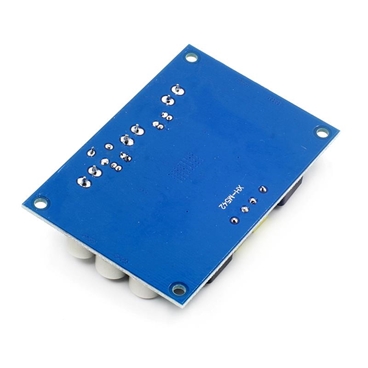 XH-M542 TPA3116D2 Board DC 12-26V 100W TPA3116DA Mono Channel Digital Power Audio Amplifier