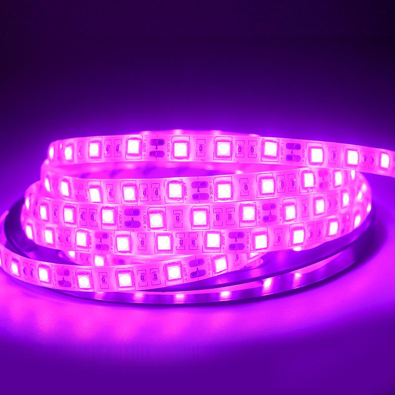 SMD 5050 Flexible LED Strip light 12V Pink Color LED Tape Home Decoration Lighting [5meter Pack]